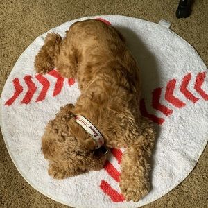 Meet your Posher, Stephen